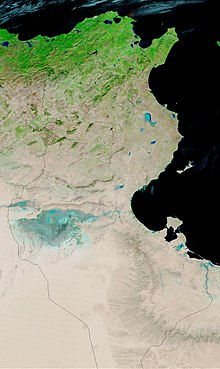 Satellite image of Tunisia. The vegetation-rich zone in the north, the steppe with the salt plains of the Scotia in the middle and the vegetation-less Sahara in the south of the country are clearly visible.