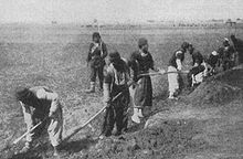 Armenians digging trenches