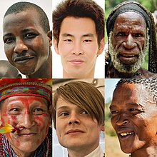If people from very distant populations are placed next to each other, the large phenotypic variation can give the false impression of definable human races. However, the transition is fluid and the genetic variation even within the assumed race is so great that the concept of race in humans is no longer used in science today.