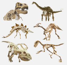 Dinosaurs are probably the most popular extinct reptiles.