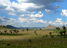 Plateau Jardim de Maytrea in the Chapada dos Veadeiros with low mountains in the background.