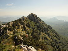 Oro-Mediterranean stage on the glacially overprinted Pazua ridge (Velje leto) in Orjen. Habitat for Crimean peony and Orjen iris.