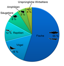 Diversity of recent vertebrates: proportions of groups in the total number of species. "Fishes" = bony and cartilaginous fishes.