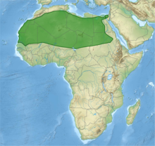 Range (green) of the fennec. The species range includes the entire Sahara, but excludes the humid and semi-arid regions along the Mediterranean coast, the Red Sea and the Sahel.