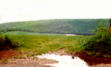 La vera Watership Down, vicino al villaggio di Kingsclere nell'Hampshire, nel 1975