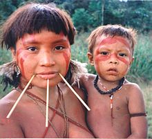 The care of the children inevitably restricts the mobility of the women (Yanomami woman with child)