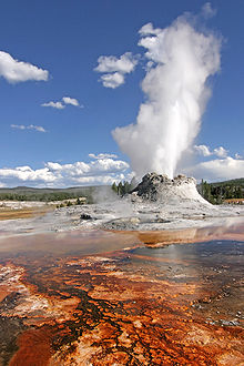 Yellowstonský národní park je zapsán na seznamu světového dědictví