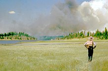 1953: A firefighter walks towards a distant fire