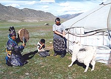 Shamanic ritual in the Siberian steppe