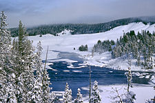 Yellowstone in de winter