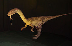 Coelophysis , en af de første dinosaurer, opstod i den øvre trias.