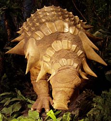 Edmontonia im Paläontologischen Museum von Royal Tyrrell