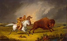 "Assiniboine jagar buffel", målning av Paul Kane  
