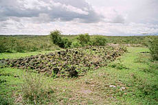 o local fóssil de Laetoli no norte da Tanzânia