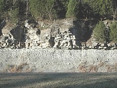 Dois tipos de rochas sedimentares: xisto calcário sobreposto por calcário. Cumberland Plateau, Tennessee.