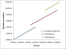 Graficul ratei metabolice (kcal/oră) în raport cu masa corporală (g) în grupuri taxonomice largi. Adaptat după Hemmingsen 1960.