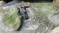 Deze gerimpelde "olifantenhuid" textuur is een sporenfossiel van een niet-stromatoliet microbieel matje. De afbeelding toont de locatie, in de Burgsvik bedden van Zweden, waar de textuur voor het eerst werd geïdentificeerd als bewijs van een microbiële mat.