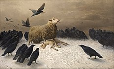 "Anguish" (1876 - 1880), een schilderij van August Friedrich Albrecht Schenck dat een schaap toont met angst voor een dood lam dat op het punt staat te worden opgegeten door vogels.  