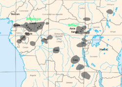 Gdzie żyją Pigmeje w Afryce, według Luigi Luca Cavalli-Sforza, genetyka populacyjnego.