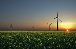 Sources d'énergie renouvelables : vent, soleil et biomasse.
