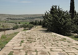 Ancient Roman road in Syria connecting Antioch and Chalkis