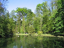 Árvores ao redor de um lago