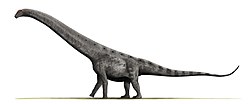 Argentinosaurus z Argentiny