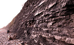 Dette er en rytmit: tydeligt gentagelsesmønster med kalkstensblokke med skifer mellem dem. Blue Lias-klipperne ved Lyme Regis, Dorset