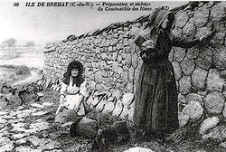 Mistkuchen, der in der Bretagne als Brennstoff vorbereitet wird, um 1900