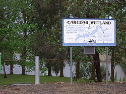 Carcoar Wetland