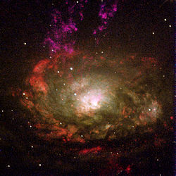 La galassia Circinus, una galassia di tipo II Seyfert