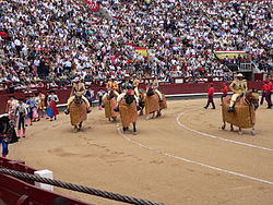 Den første procession i en corrida med tre hold tyrefægtere.