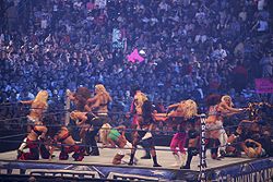Een 25-Diva Battle Royal op WrestleMania XXV.