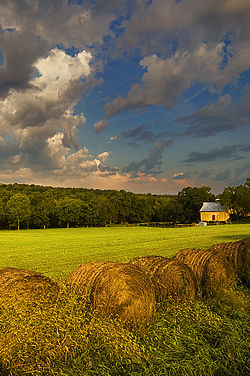 Vista panorámica del condado rural de Douglas  
