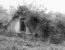 Fort St. Philip, Plaquemines Parish, Louisiana. Een deel van de bakstenen structuren van het oude fort is gedeeltelijk overwoekerd met planten.