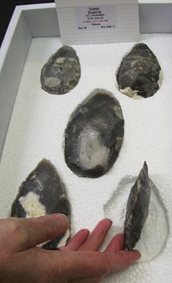 Redskaber af høj kvalitet fundet i Boxgrove stenbruddet, fremstillet for ca. 500.000 år siden, og de tilskrives enten Homo heidelbergensis eller tidlig H. neanderthalensis.