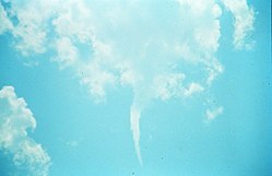 Genel bir kümülüs bulutundan uzanan bir kesme hunisi. VORTEX projesinin bir üyesi tarafından kuzey Teksas'ta gözlemlenmiştir.