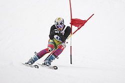 Um esquiador em uma corrida de slalom gigante