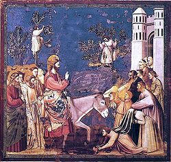 Ježíše vjíždějícího do Jeruzaléma vítají zástupy lidí, kteří mu ze svých plášťů a větví dělají koberec. Giotto, 1300
