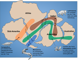 Fossile Aufzeichnungen deuten darauf hin, dass die heute getrennten Kontinente einst zusammen waren: siehe Pangäa