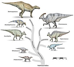 De hadrosaurussen