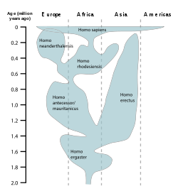 Графика, показваща различните видове от рода хомо, класифицирани по това къде и кога са живели  