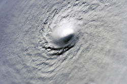 ピーク強度付近のハリケーンウィルマの目