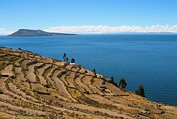 Les terrasses de l'époque inca sur Taquile sont utilisées pour cultiver des aliments traditionnels andins, comme les pommes de terre, avec du blé provenant d'Europe.