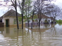 Powódź w Jaša Tomić w 2005 r.