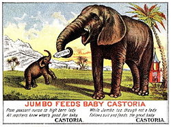 Jumbo dà da mangiare un lassativo chiamato Castoria a un cucciolo di elefante in una pubblicità