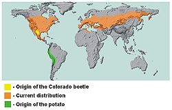 Colorado skalbaggens och potatisens ursprungliga utbredningsområden.