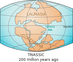 Een wereldwijde paleogeografische reconstructie van de aarde in het latere Trias, 220 miljoen jaar geleden.