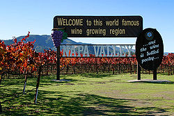 Napa Valley is vooral bekend om zijn wijn.  