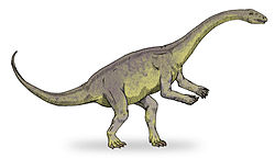 Lufengosaurus magnus